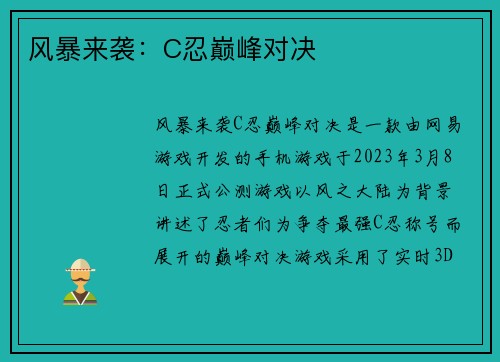 风暴来袭：C忍巅峰对决